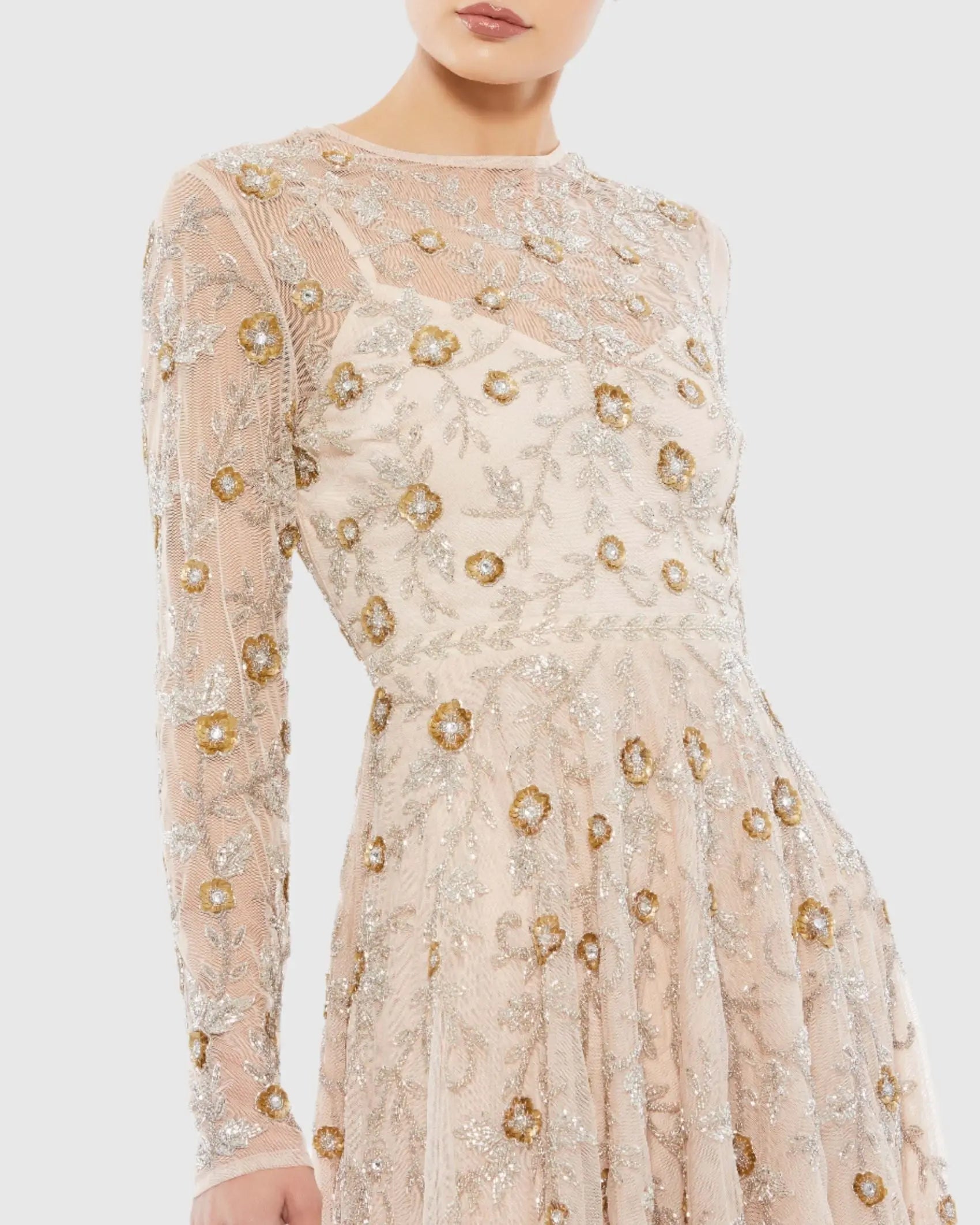 Beige Beaded Illusion High Neck Long Sleeve A Line Dress